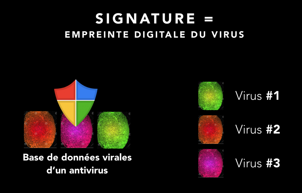 Un antivirus contient une "base de données" de virus. Leur but : connaître un maximum de virus pour mieux les bloquer.