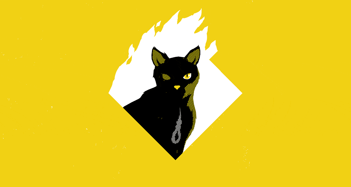 L Histoire Du Chat De Schrodinger Expliquee Simplement