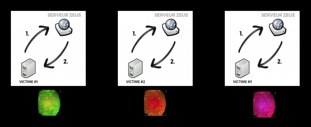 Chaque victime recevait une version presque unique de Zeus, que les antivirus avaient du mal à détecter.