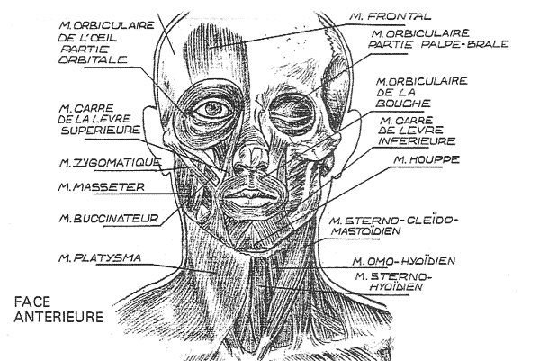 myot01